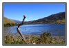 20/IMG_4421site.jpg