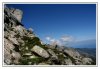 5/IMG_0215.kimsite.jpg