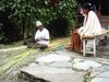 9/Filekimscene0823.jpg